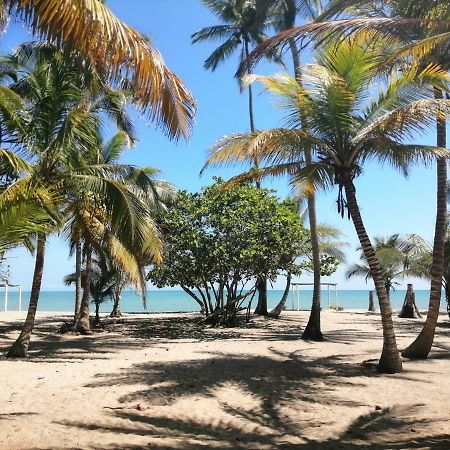 Hotel Playa Mandala بالومينو المظهر الخارجي الصورة
