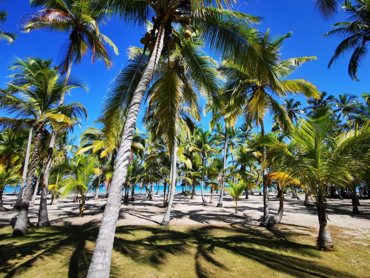 Hotel Playa Mandala بالومينو المظهر الخارجي الصورة