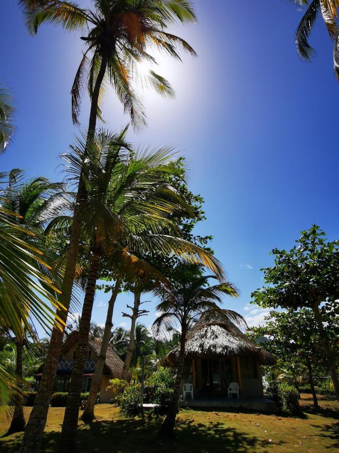 Hotel Playa Mandala بالومينو المظهر الخارجي الصورة