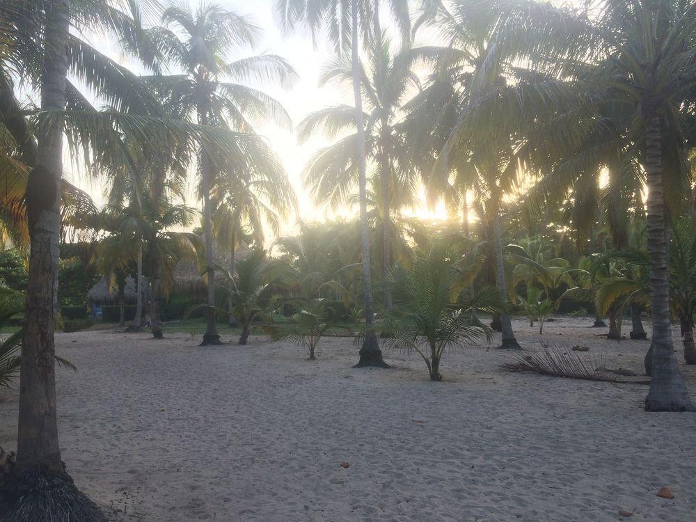 Hotel Playa Mandala بالومينو المظهر الخارجي الصورة