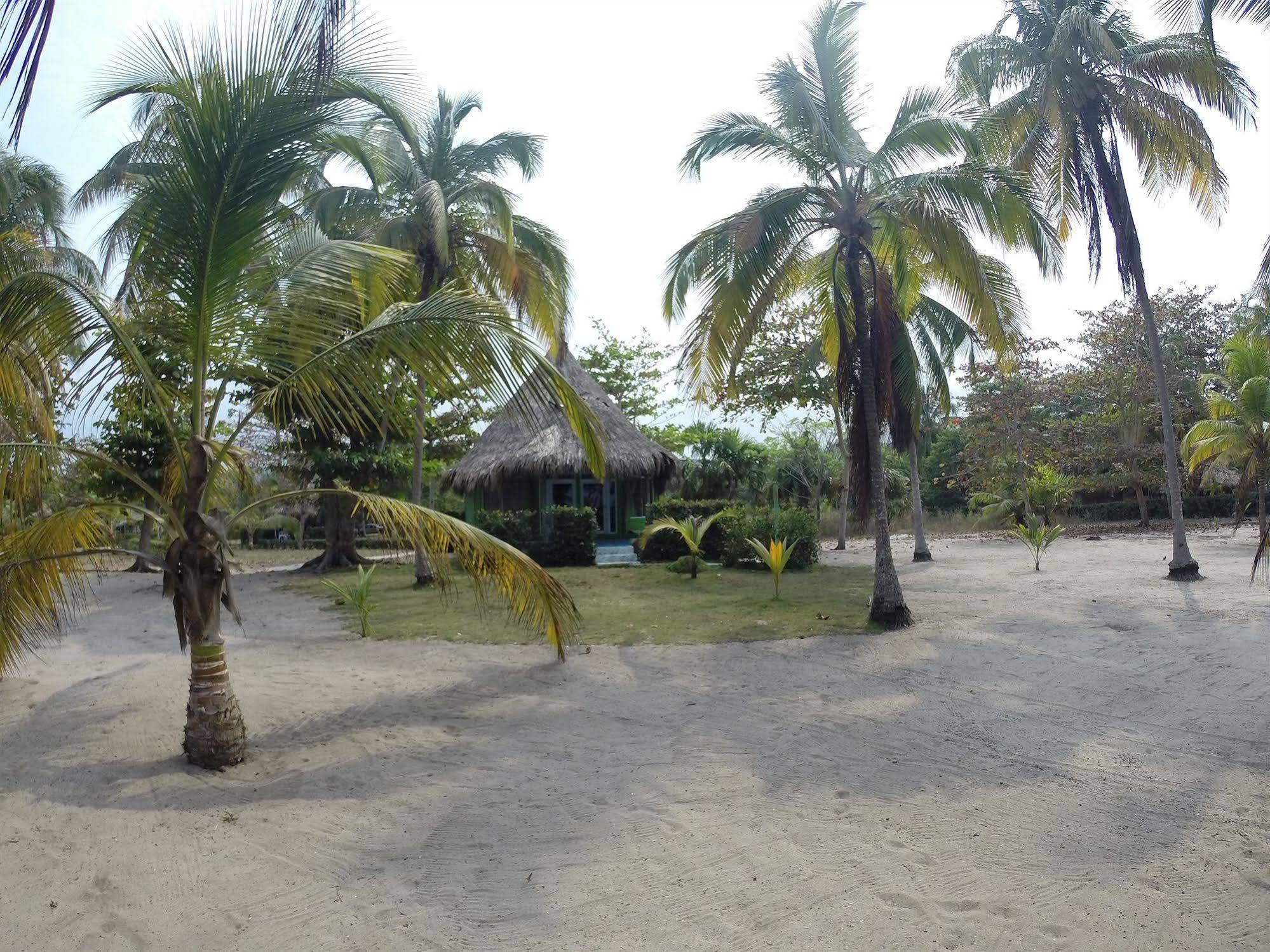 Hotel Playa Mandala بالومينو المظهر الخارجي الصورة