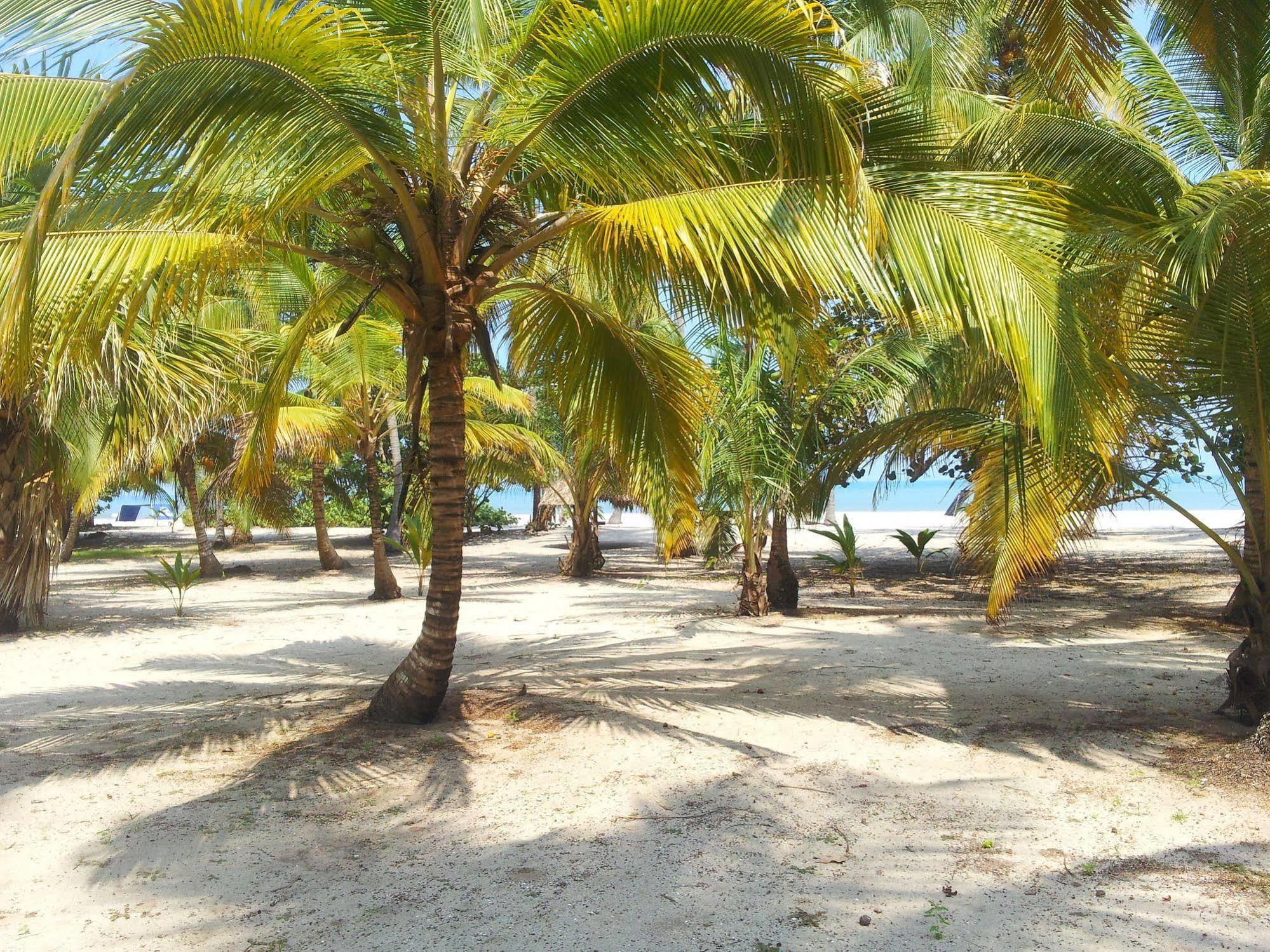Hotel Playa Mandala بالومينو المظهر الخارجي الصورة