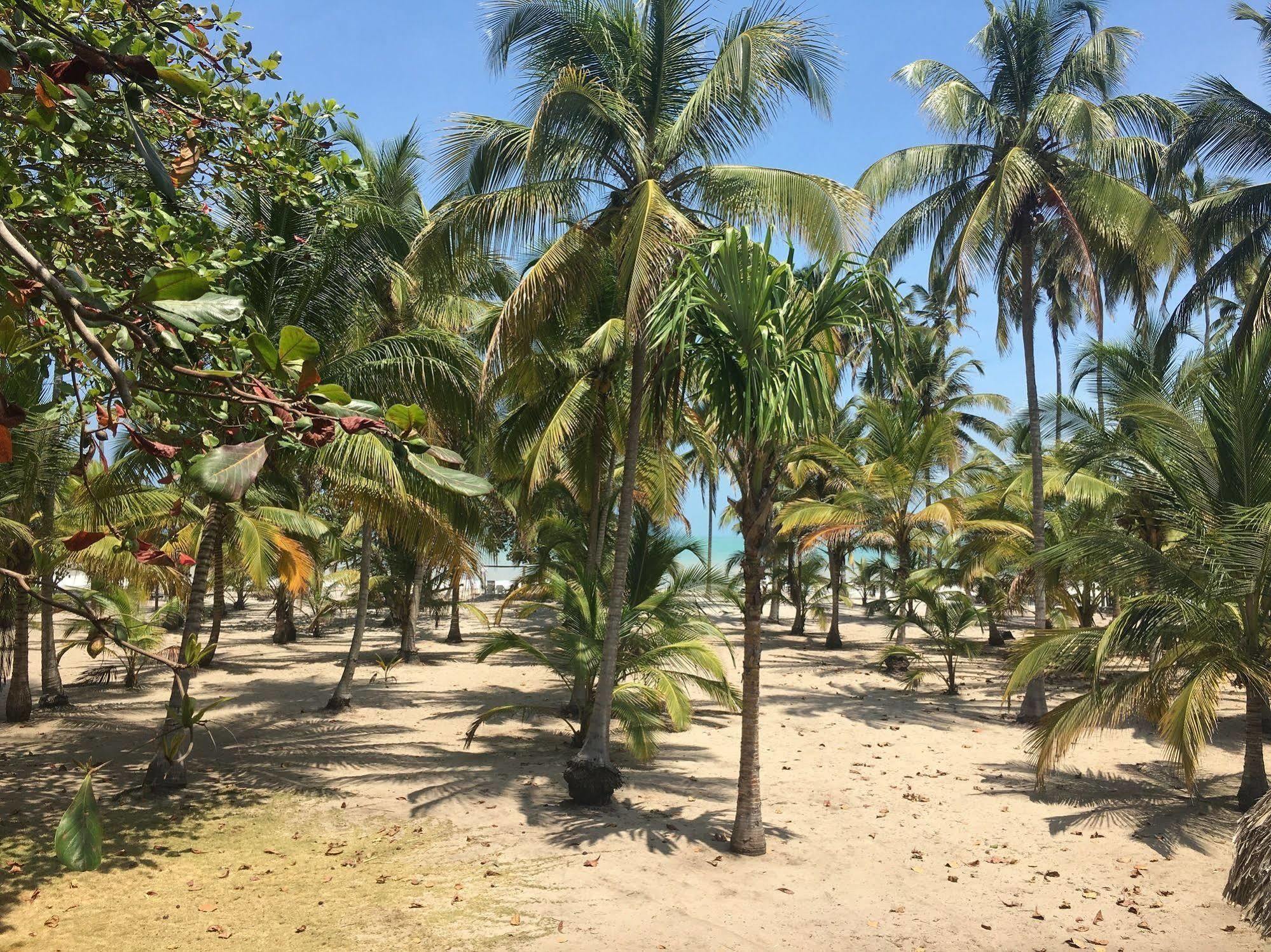 Hotel Playa Mandala بالومينو المظهر الخارجي الصورة