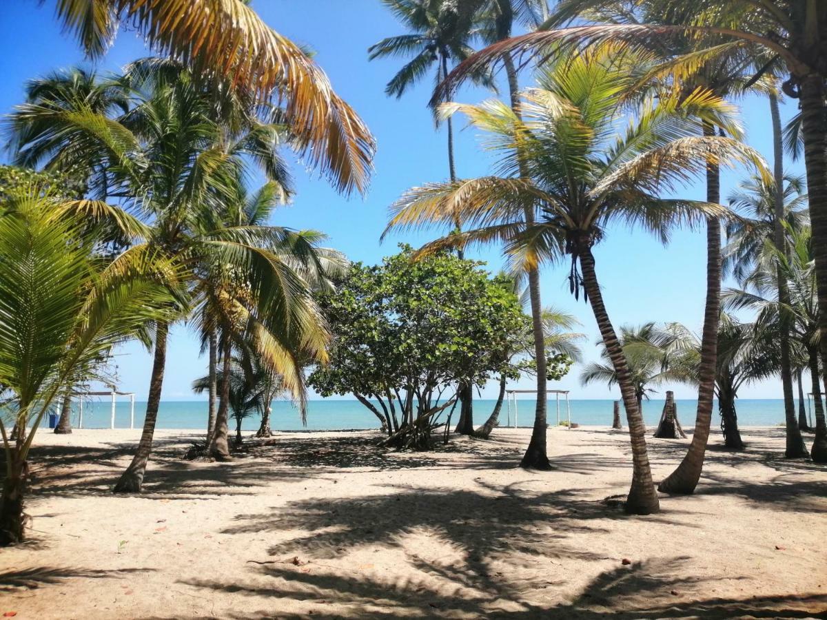 Hotel Playa Mandala بالومينو المظهر الخارجي الصورة