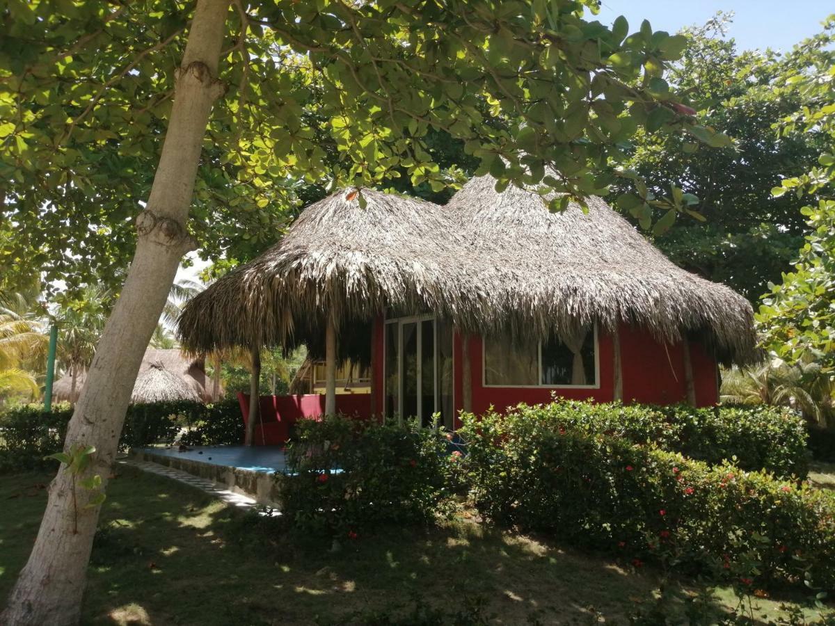 Hotel Playa Mandala بالومينو المظهر الخارجي الصورة